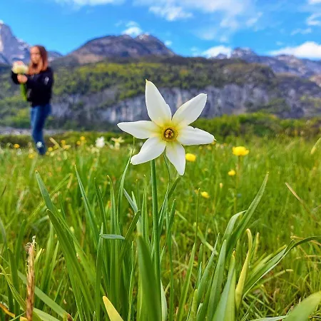 Haus Annerl * Grundlsee