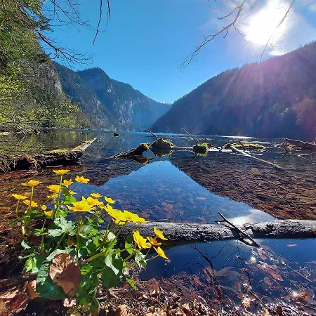 Haus Annerl Grundlsee