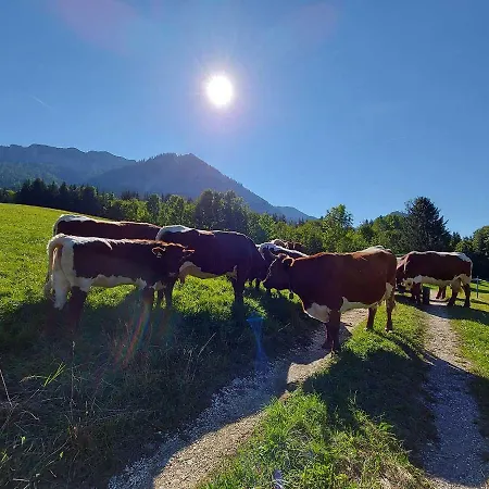 Haus Annerl Grundlsee