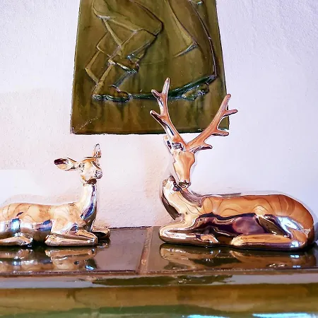 Lägenhet Haus Annerl *