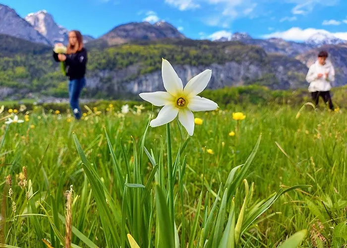 Haus Annerl * Grundlsee