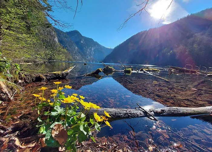 Haus Annerl 格伦德尔湖