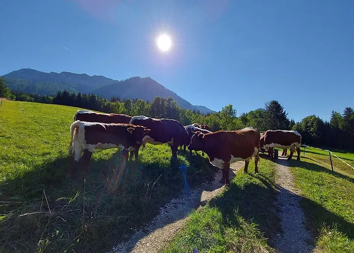 Haus Annerl Grundlsee