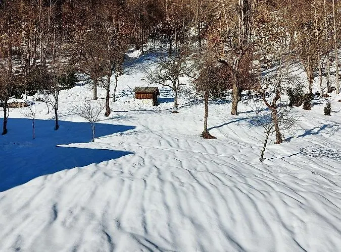 Haus Annerl 格伦德尔湖